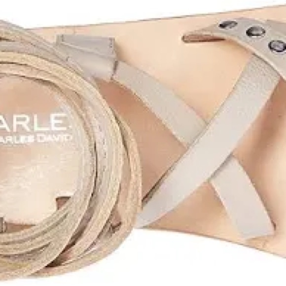 Women's Charles by Charles David Steeler
Gladiator Sandals - Picture 3 of 8